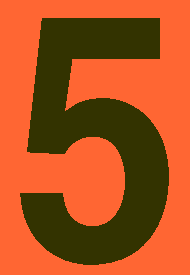 4 Inch Black #5 on Orange Vinyl